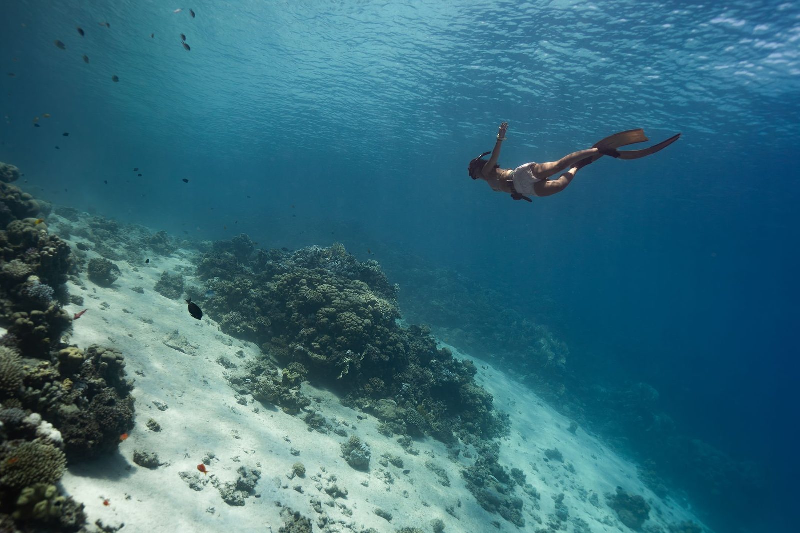 A freediver gliding down over a sandy slope and coral reef in the Red Sea